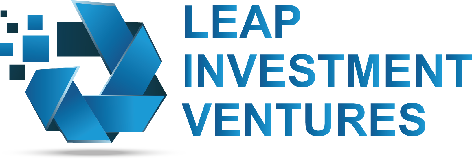 Leap Investment Ventures